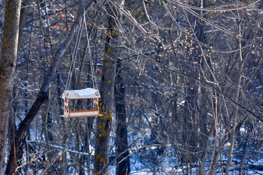 Similar image 22041715