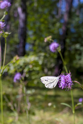 Similar image 22044766