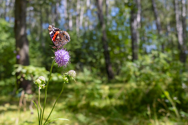 Similar image 22044767