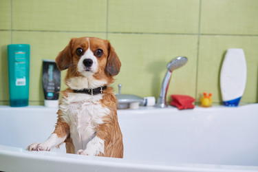 Similar image 22041691