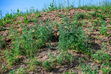 Similar image 22041719