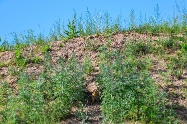 Similar image 22041720