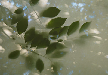 Similar image 22041722