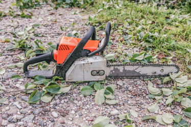 Similar image 22042441