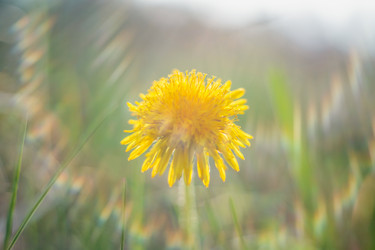 Similar image 22042442