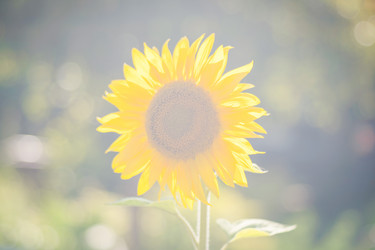 Similar image 22042444