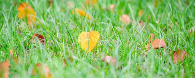 Similar image 22042445