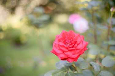 Similar image 22042447