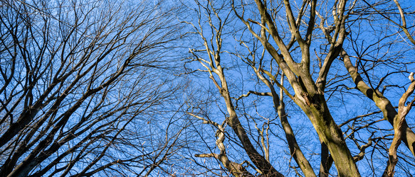 Similar image 22042448