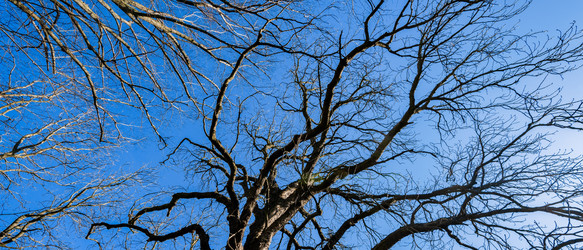 Similar image 22042449