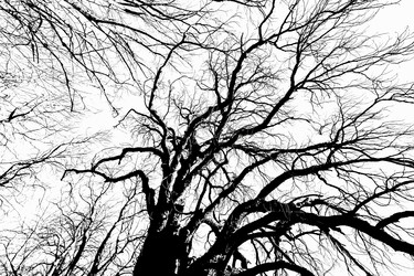 Similar image 22042450