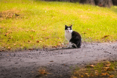 Similar image 22042451