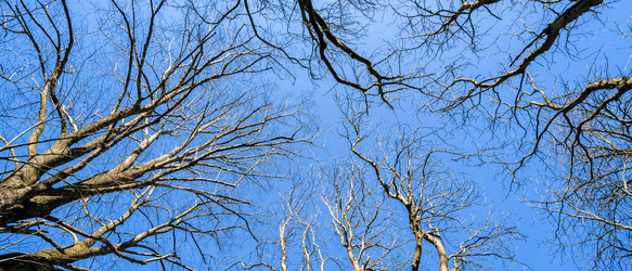 Similar image 22042452