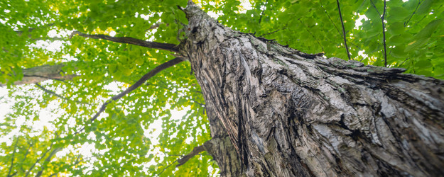 Similar image 22042453