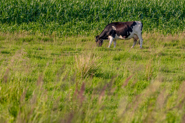 Similar image 22042455