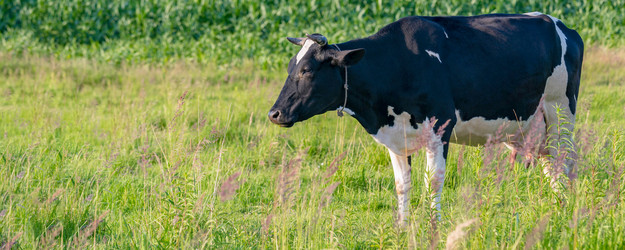 Similar image 22042398