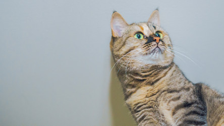 Similar image 22042400