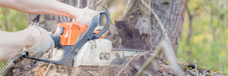 Similar image 22042741