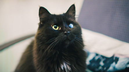 Similar image 22042751