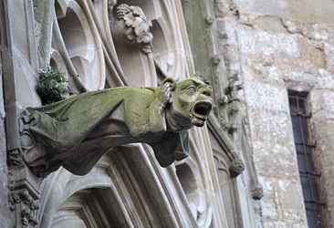 Similar image 22042976