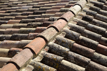 Similar image 22043153