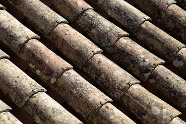 Similar image 22043154