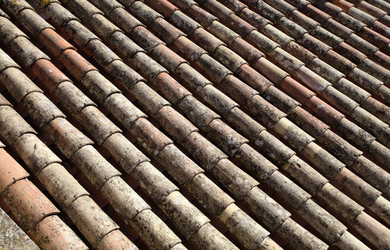 Similar image 22043155