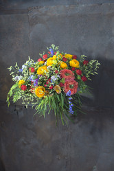 Similar image 22050140