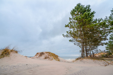 Similar image 22042412