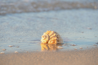 Similar image 22042413