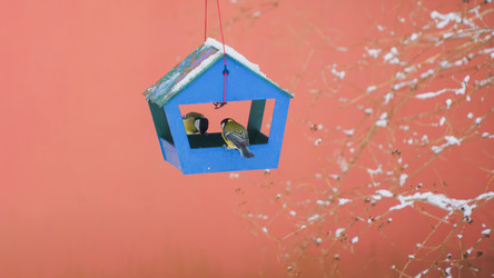 Similar image 22042414