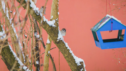 Similar image 22042415