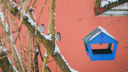 Similar image 22042416