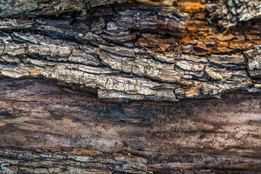 Similar image 22042417