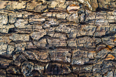 Similar image 22042522