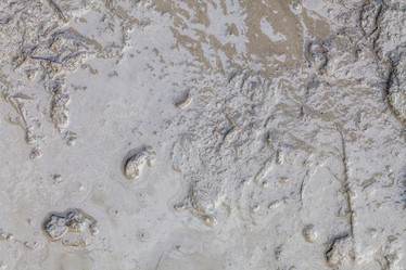 Similar image 22042754