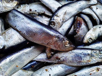 Similar image 22041994