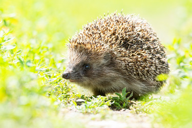 Similar image 22043498