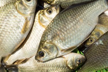 Similar image 22043506