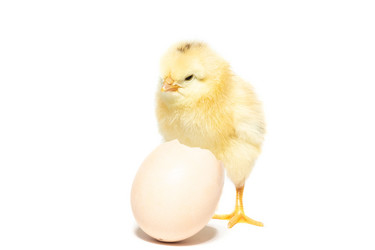 Similar image 22043534