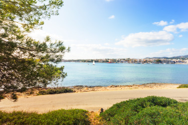 Similar image 22042005