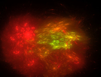 Similar image 22043215