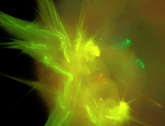 Similar image 22045489