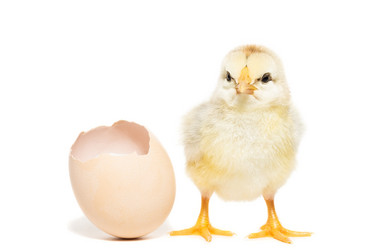 Similar image 22043895