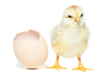 Similar image 22043897