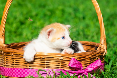 Similar image 22043915