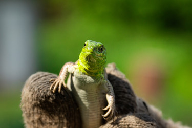 Similar image 22043926