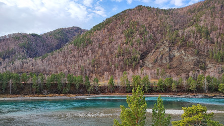 Similar image 22050006