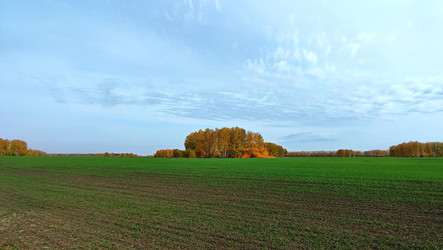 Similar image 22050007