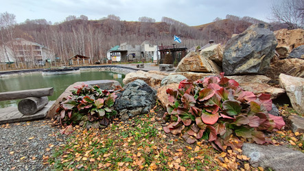 Similar image 22050361